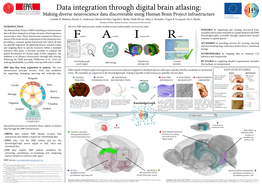 human brain mapping submission