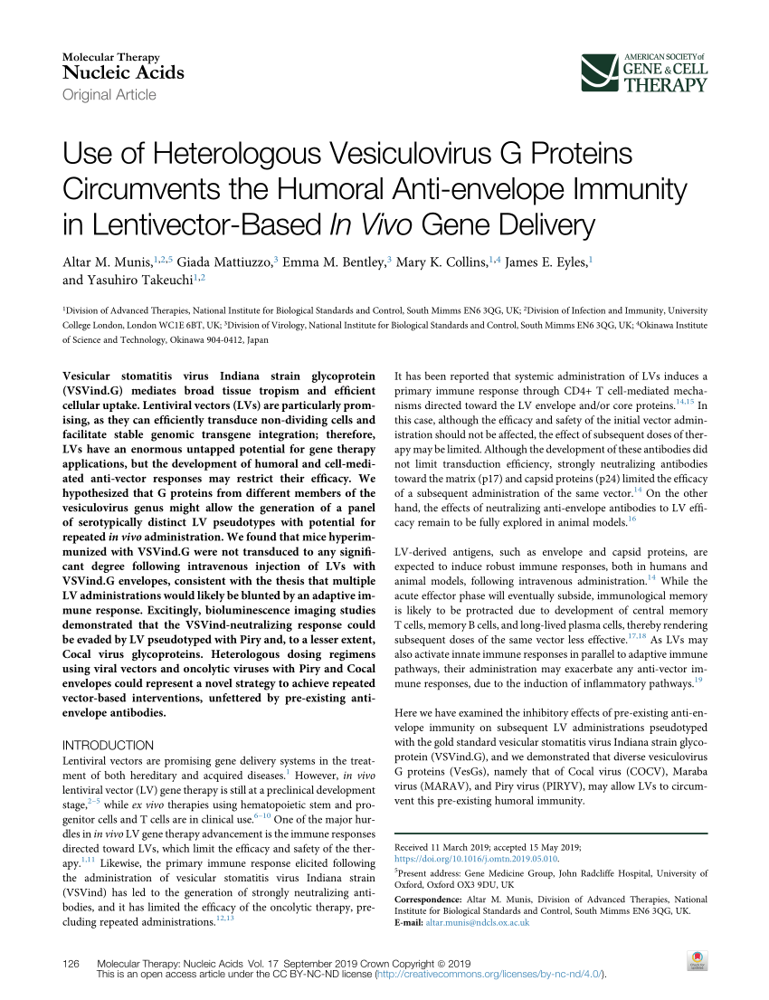 Pdf Use Of Heterologous Vesiculovirus G Proteins Circumvents The Humoral Anti Envelope Immunity In Lentivector Based In Vivo Gene Delivery