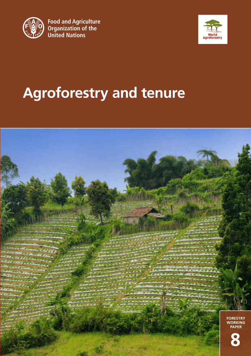 (PDF) Agroforestry and tenure