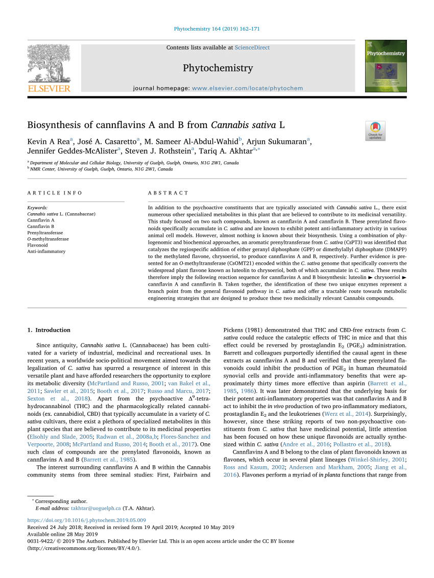 Flavonoids in Cannabis sativa: Biosynthesis, Bioactivities, and  Biotechnology