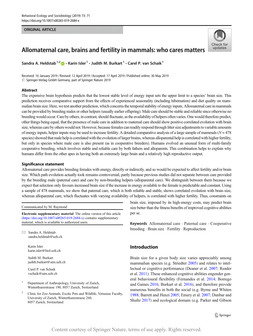 Allomaternal care, brains and fertility in mammals: who cares matters