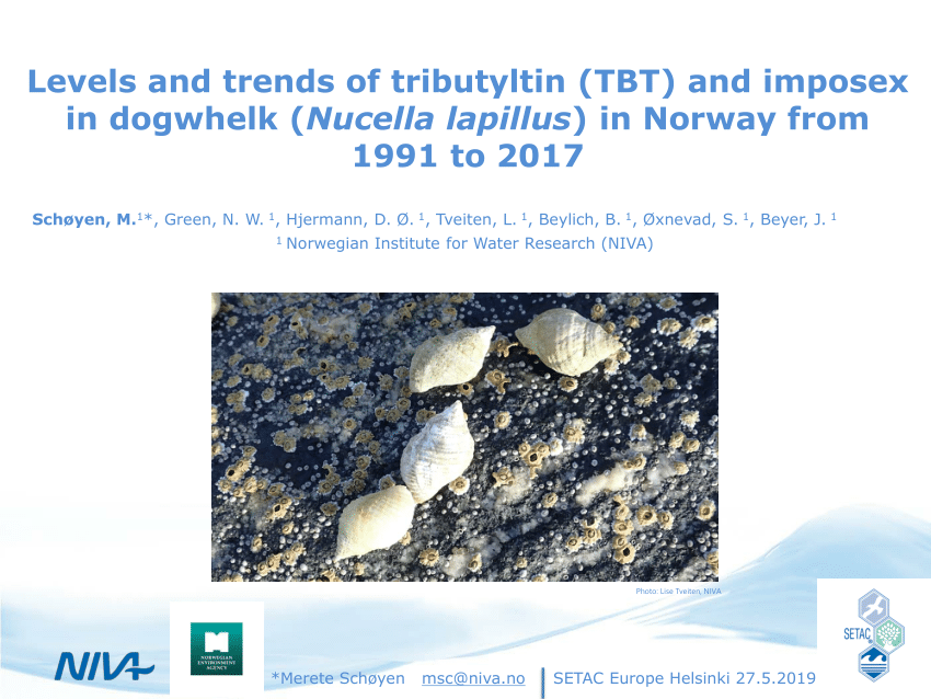 Pdf Levels And Trends Of Tributyltin Tbt And Imposex In Dogwhelk Nucella Lapillus In Norway From 1991 To 17