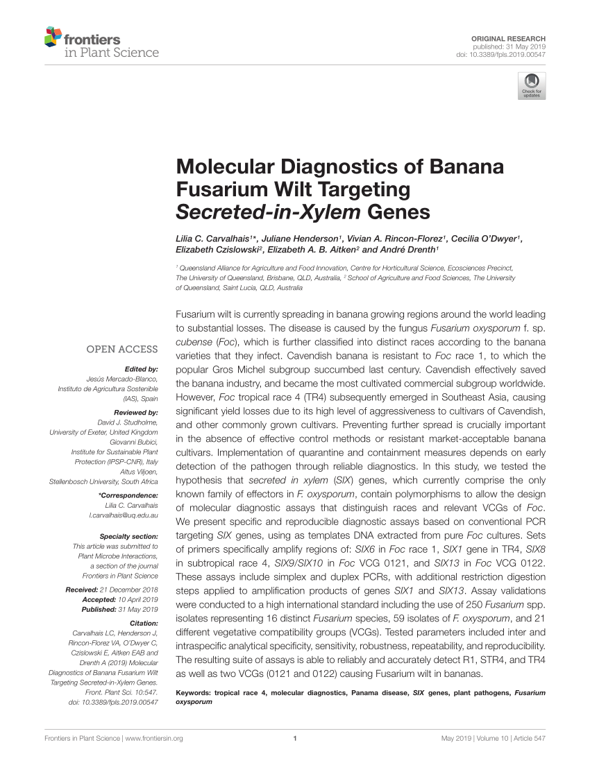 PDF) Fusarium wilt (Panama disease) of bananas: an updating review of the  current knowledge on the disease and its causal agent