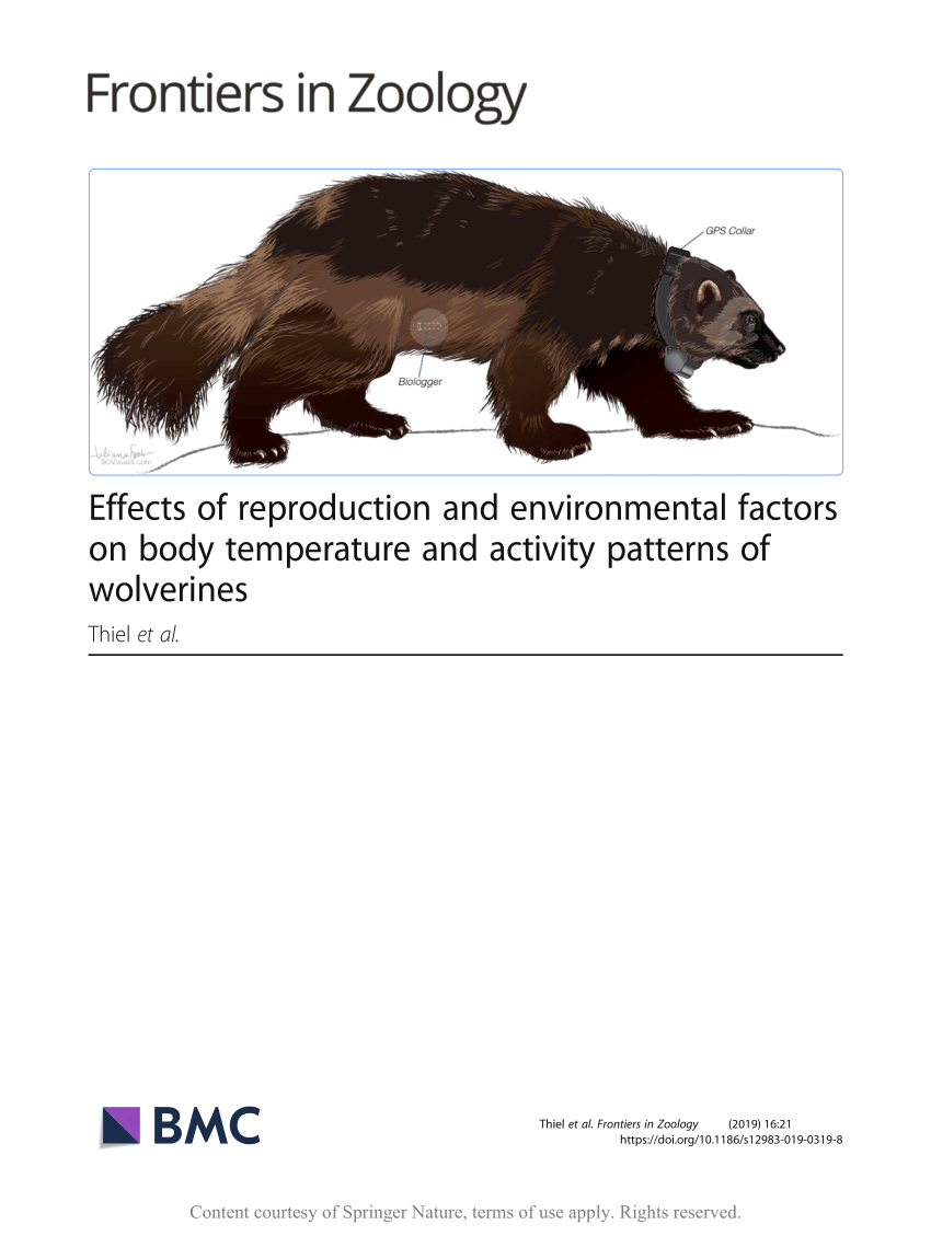 PDF) Effects of reproduction and environmental factors on body temperature  and activity patterns of wolverines