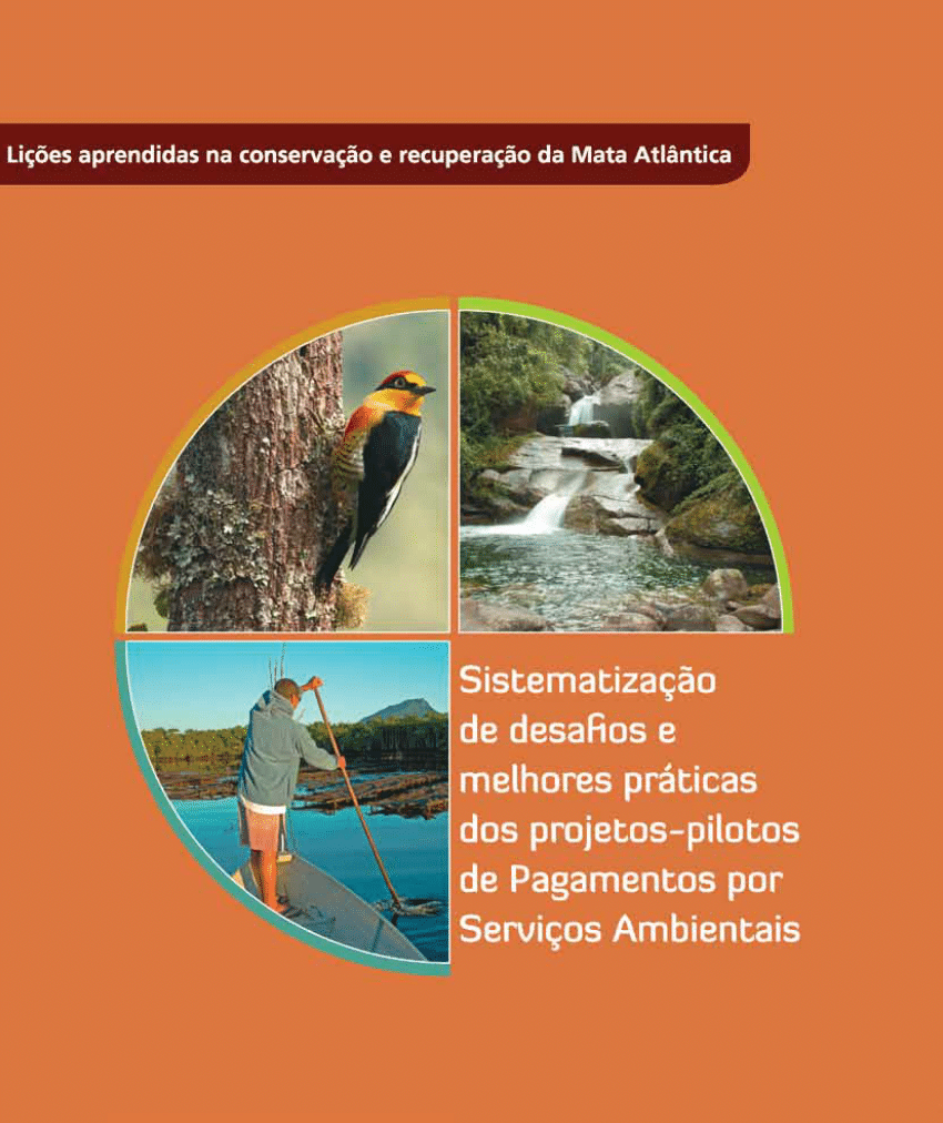 PDF) Pagamentos por Serviços Ambientais na Mata Atlântica: Lições