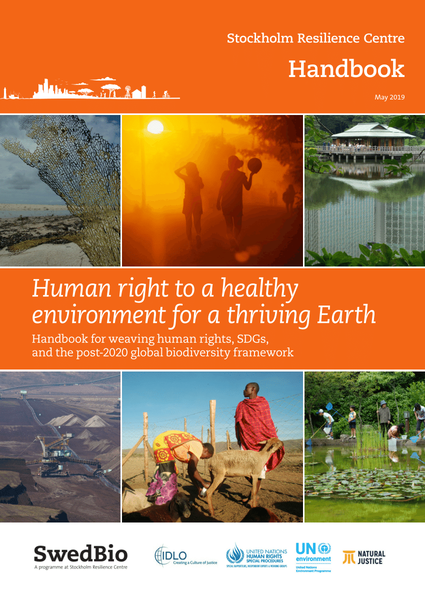 (PDF) "Human right to a healthy environment for a thriving Earth