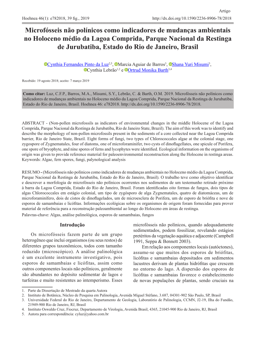 PDF) Non-pollen microfossils as indicators of environmental changes in the  middle Holocene of the Lagoa Comprida, Parque Nacional da Restinga de  Jurubatiba, Rio de Janeiro State, Brazil