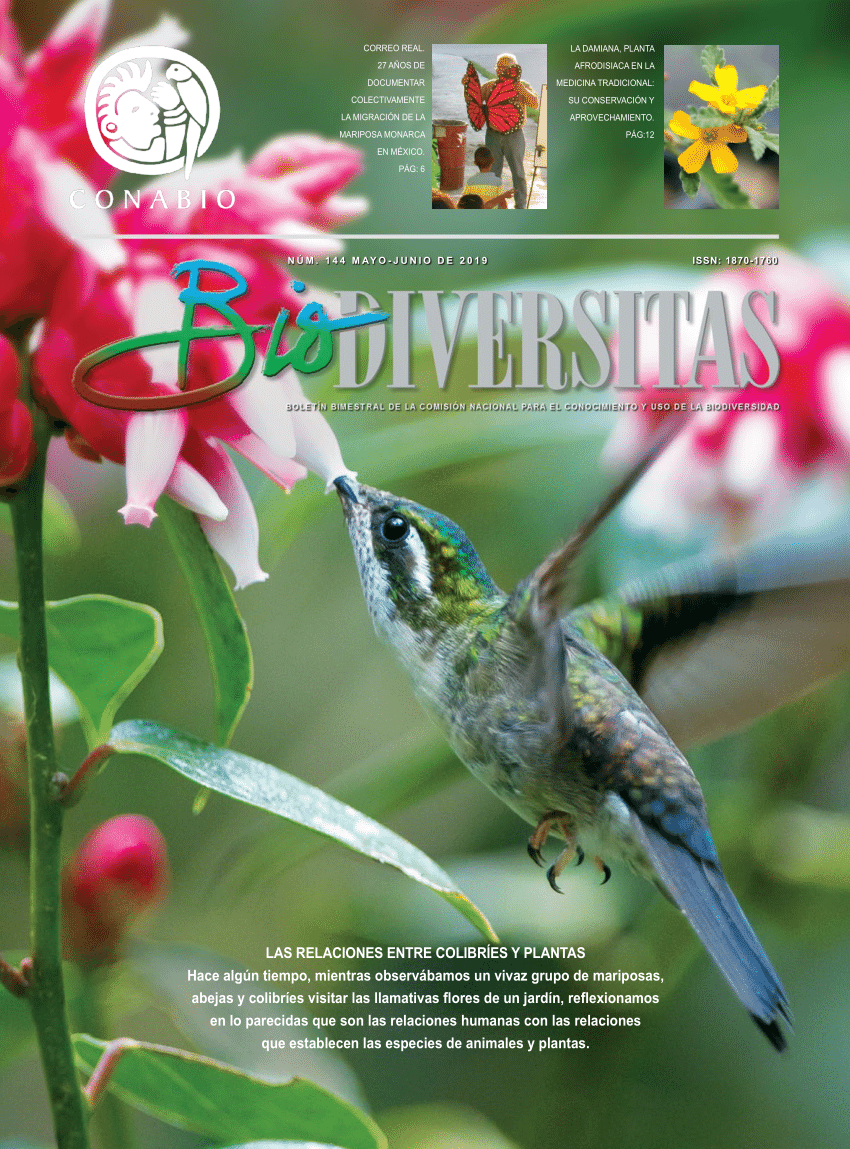 PDF) Las relaciones entre colibríes y plantas desde un enfoque mexicanísimo