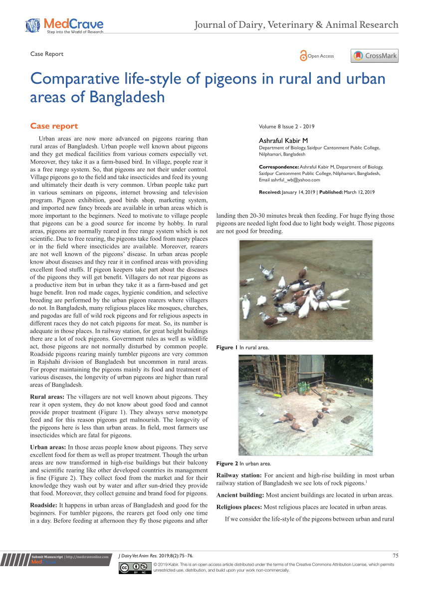 PDF) Comparative life-style of pigeons in rural and urban areas of  Bangladesh Journal of Dairy, Veterinary & Animal Research Case Report Case  report