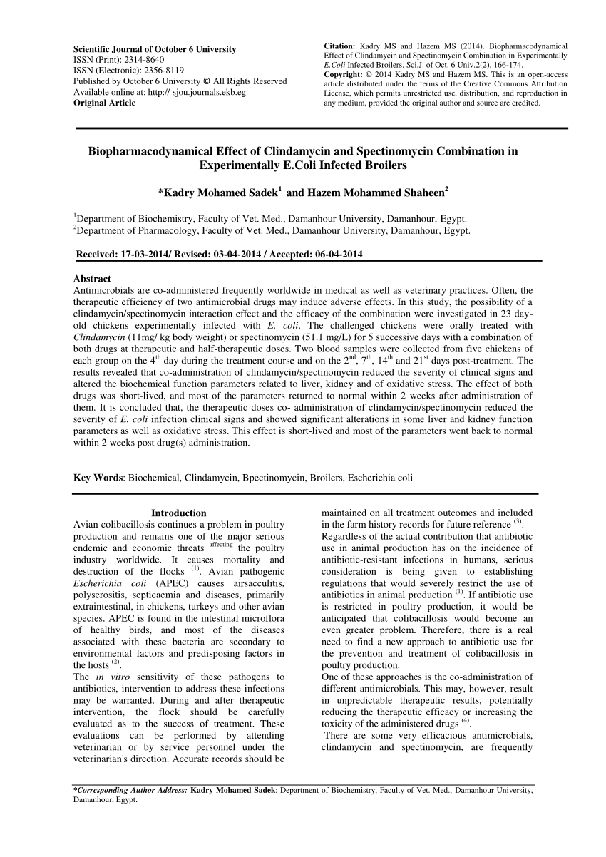 stromectol ivermectin buy