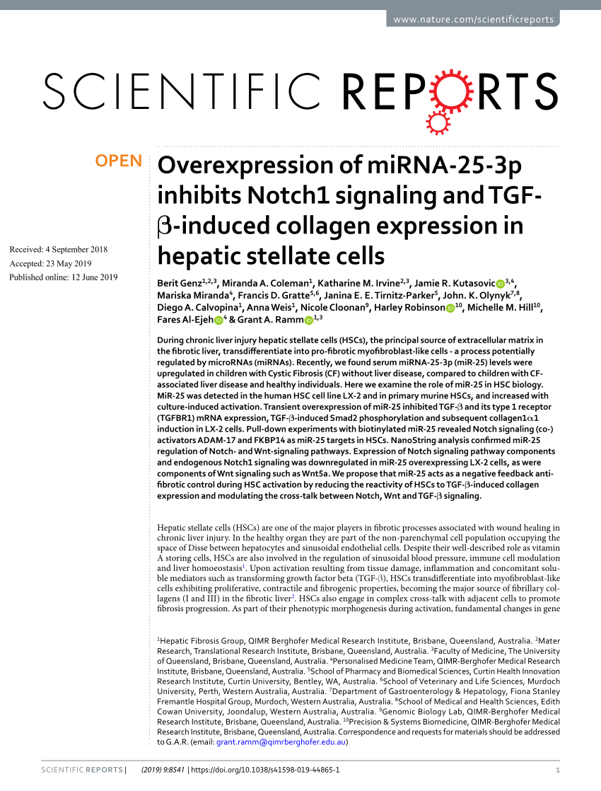 PDF) Overexpression of miRNA-25-3p inhibits Notch1 signaling and  TGF-β-induced collagen expression in hepatic stellate cells