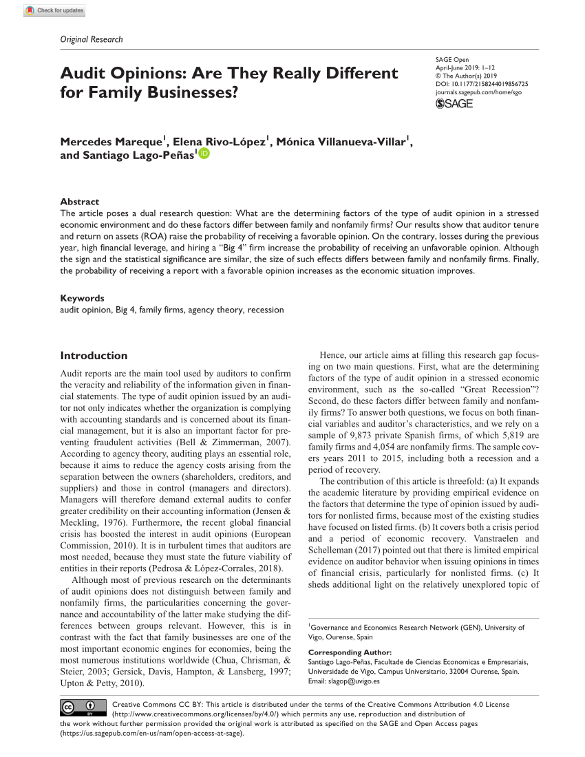 pdf audit opinions are they really different for family businesses generate profit and loss statement