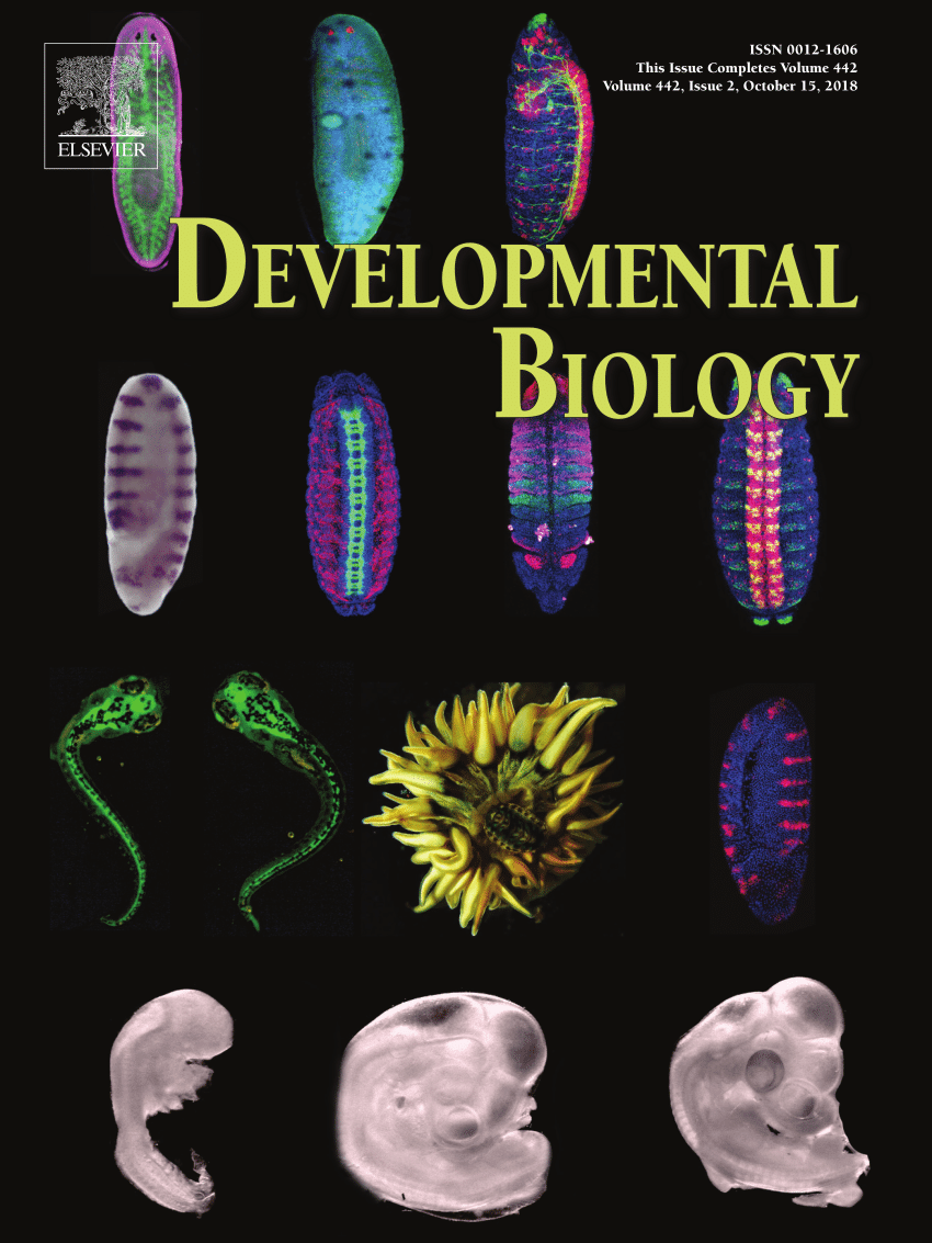 research paper on developmental biology