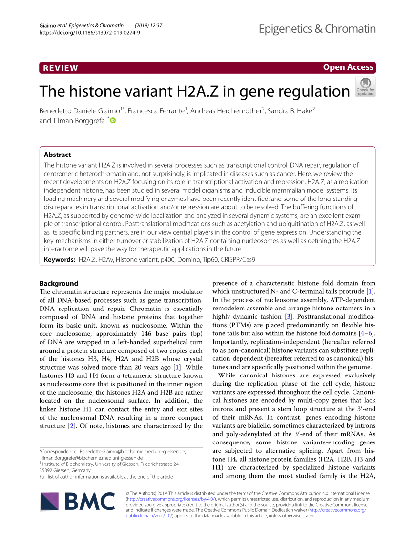 PDF) The histone variant H2A.Z in gene regulation
