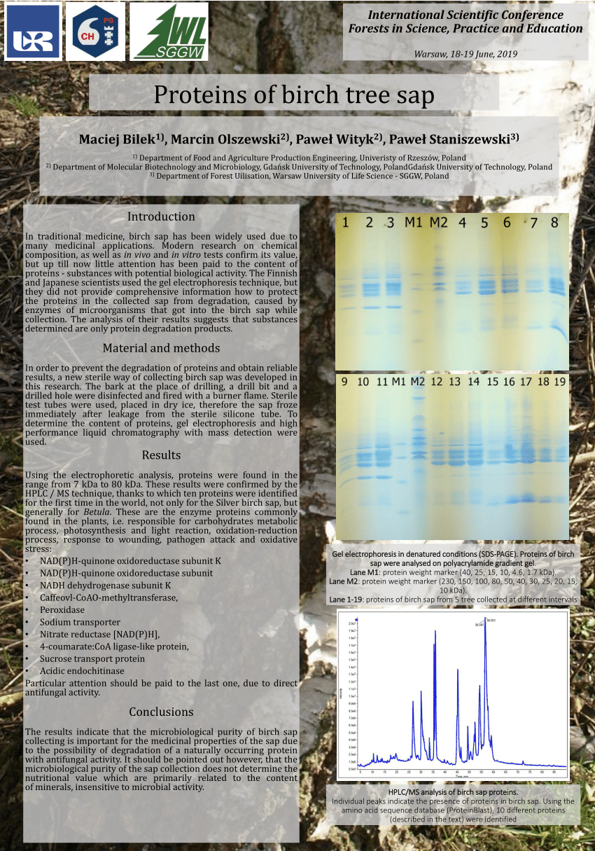 (PDF) Proteins of birch tree sap [Białka soku brzozowego]