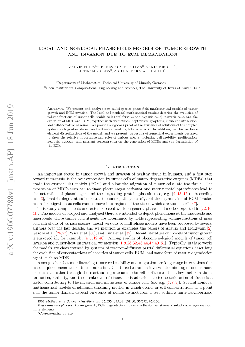 Pdf Local And Nonlocal Phase Field Models Of Tumor Growth And Invasion Due To Ecm Degradation