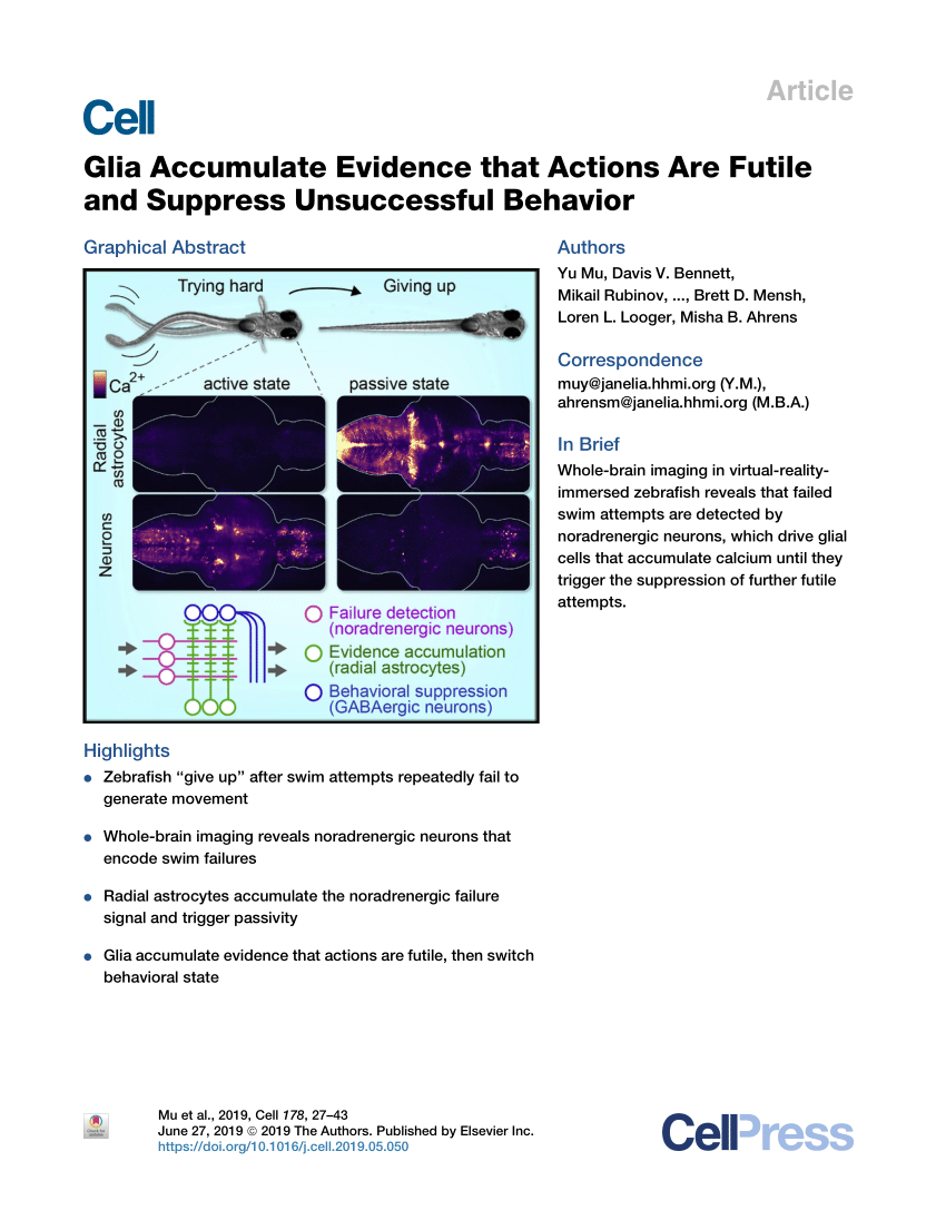 Pdf Glia Accumulate Evidence That Actions Are Futile And Suppress Unsuccessful Behavior