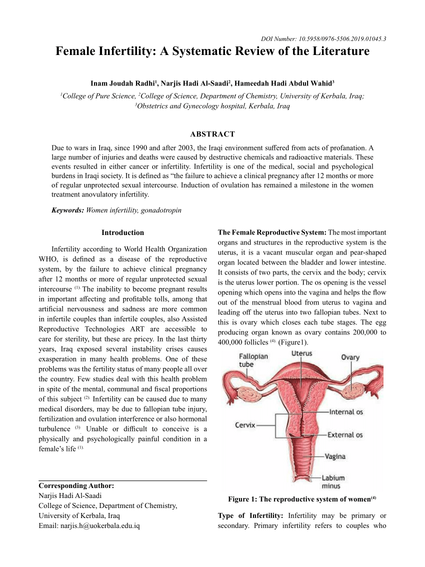 literature review on infertility pdf