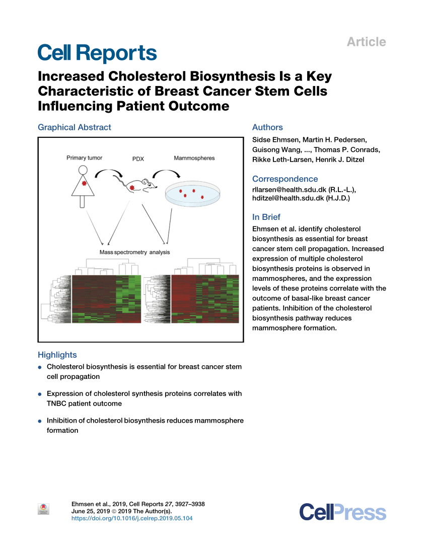 Pdf Increased Cholesterol Biosynthesis Is A Key Characteristic Of Breast Cancer Stem Cells Influencing Patient Outcome