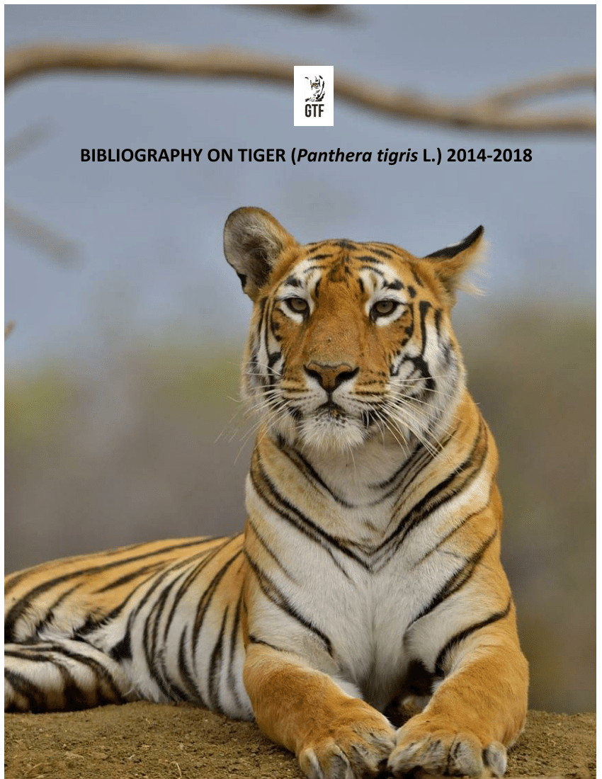 The Tiger Print — December 2019 by The Tiger Print - Issuu