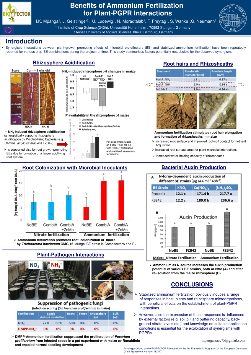 (PDF) Benefits of Ammonium Fertilization for Plant-PGPR Interactions