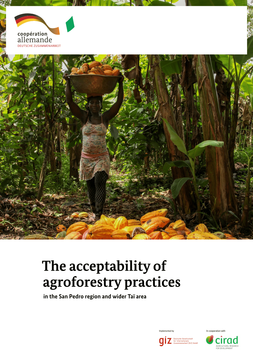 PDF) The acceptability of agroforestry practices in the Pedro region wider area