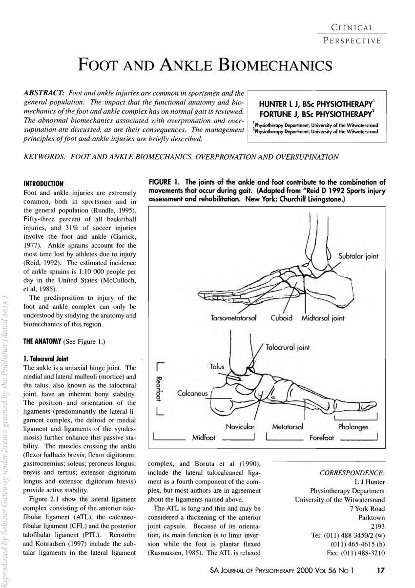 biomechanics of the foot in dance a literature review