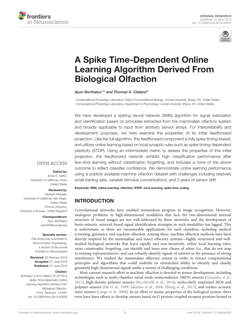 Pdf A Spike Time Dependent Online Learning Algorithm Derived From
