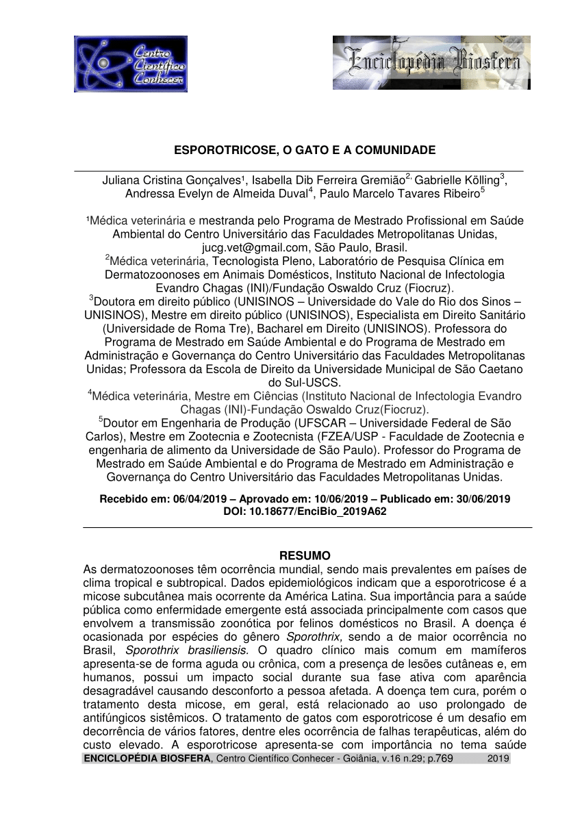 Esporotricose em gatos tem cura e posse responsável é chave para prevenção