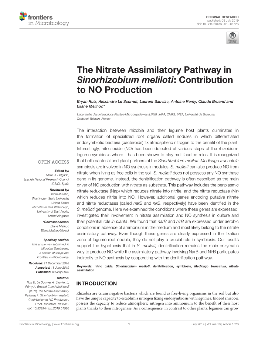 Pdf The Nitrate Assimilatory Pathway In Sinorhizobium Meliloti Contribution To No Production 8195