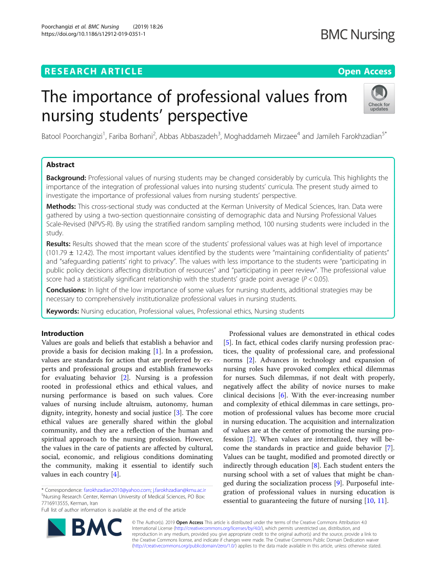 essay on nursing values