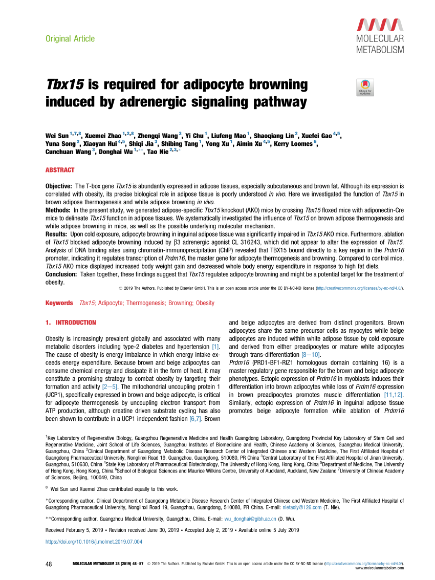 Pdf Tbx15 Is Required For Adipocyte Browning Induced By Adrenergic Signaling Pathway