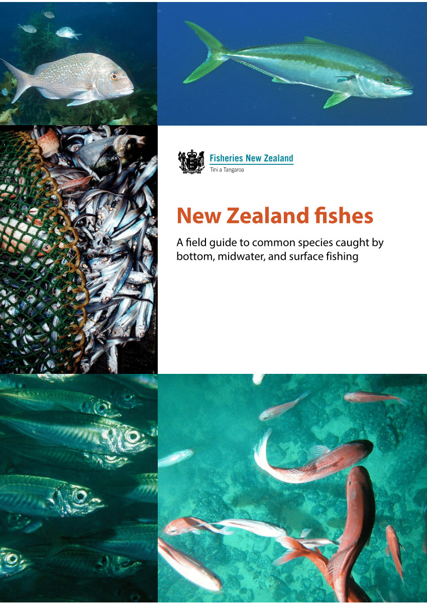 PDF) New Zealand fishes. A field guide to common species caught by