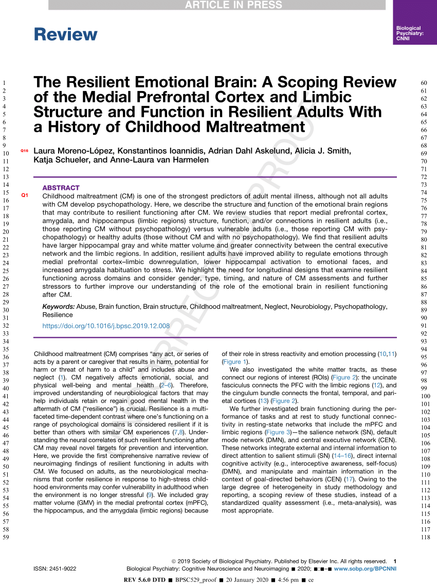 Pdf The Resilient Emotional Brain A Review Of Mpfc And Limbic Structure And Function In Resilient Adults With A History Of Childhood Maltreatment