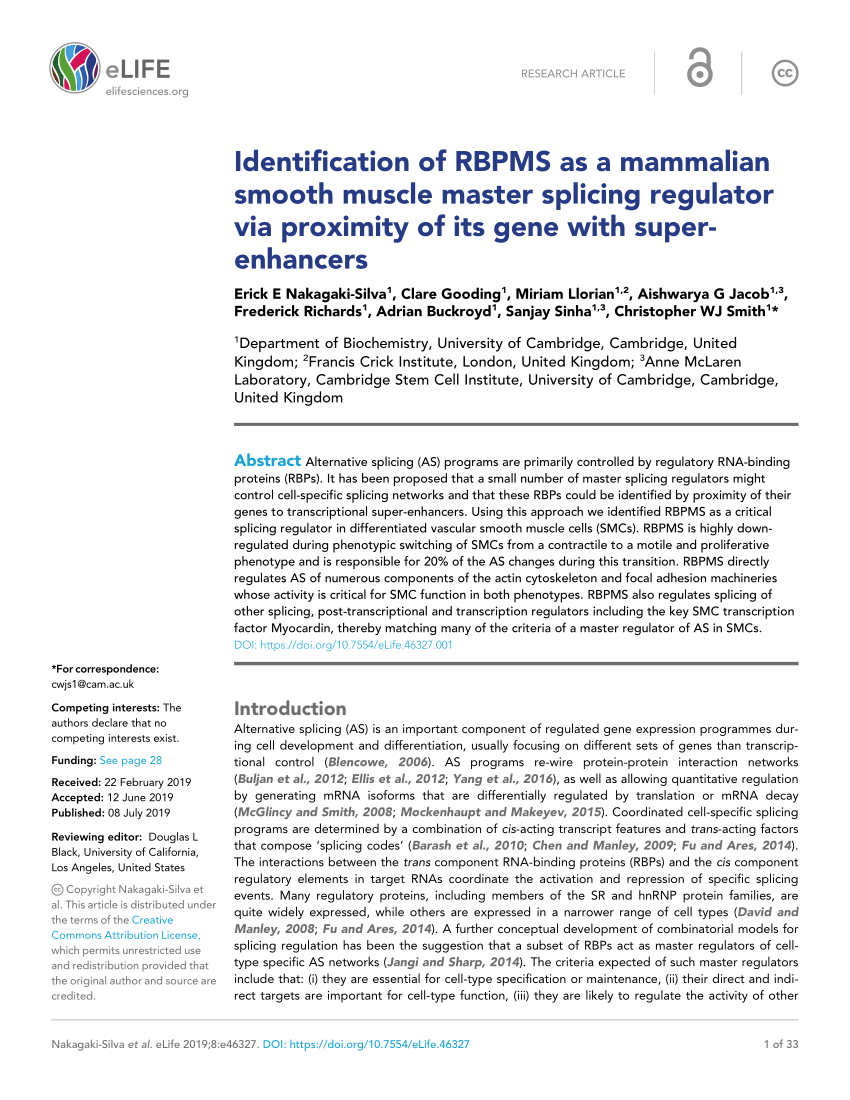 PDF) Identification of RBPMS as a mammalian smooth muscle master 
