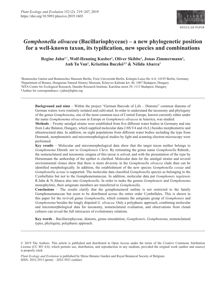 PDF) Gomphonella olivacea (Bacillariophyceae) – a new phylogenetic 
