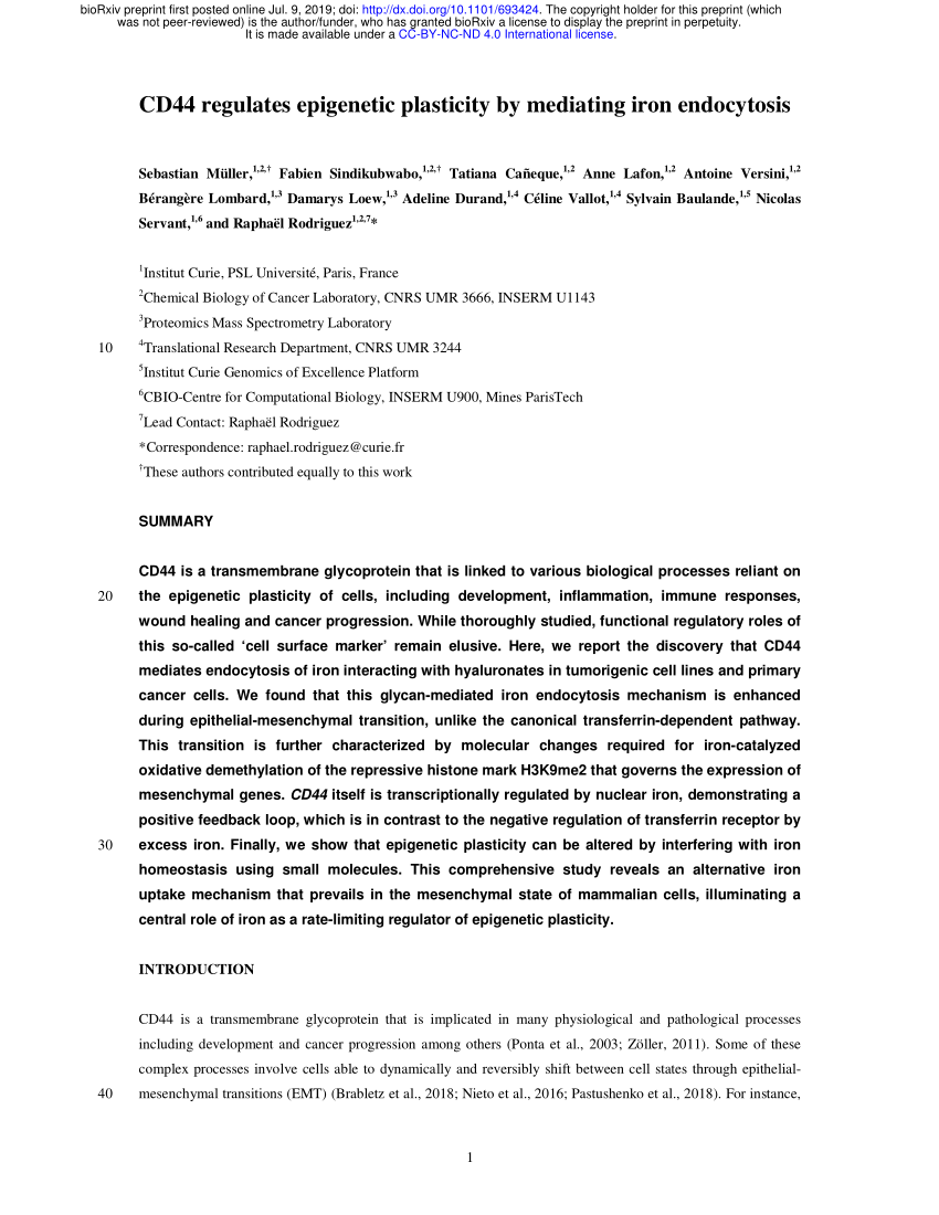 Pdf Cd44 Regulates Epigenetic Plasticity By Mediating Iron Endocytosis