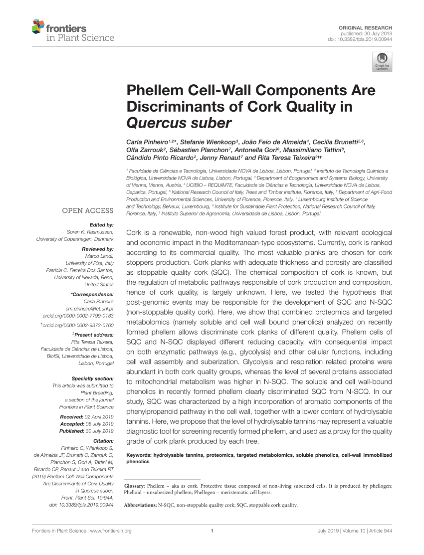 PDF) Phellem Cell-Wall Components Are Discriminants of Cork ...