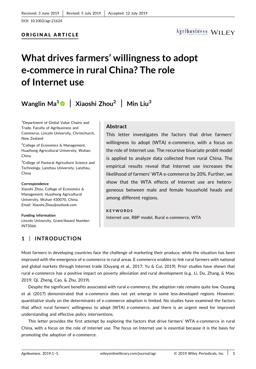 e commerce in rural areas research paper