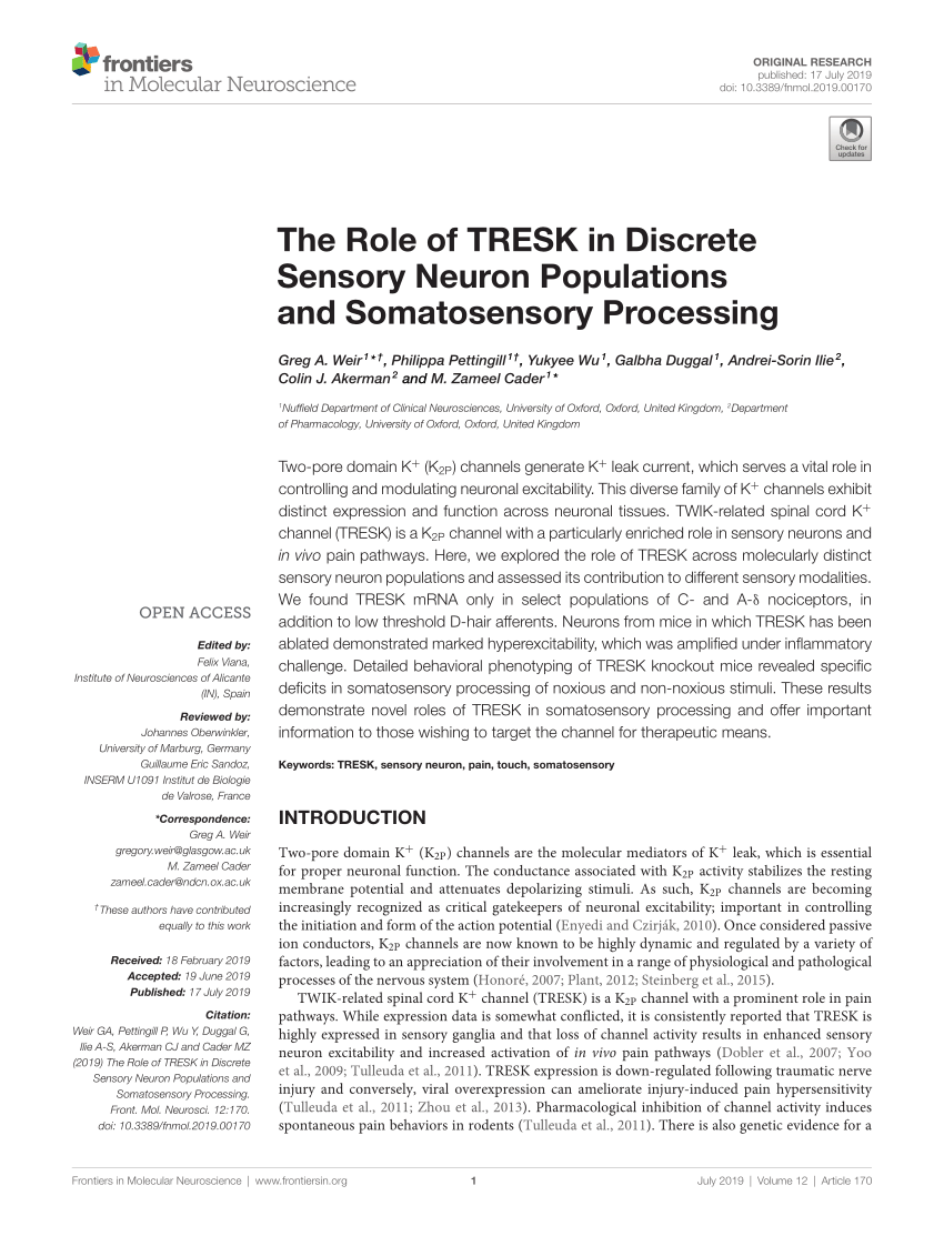 Pdf The Role Of Tresk In Discrete Sensory Neuron Populations And