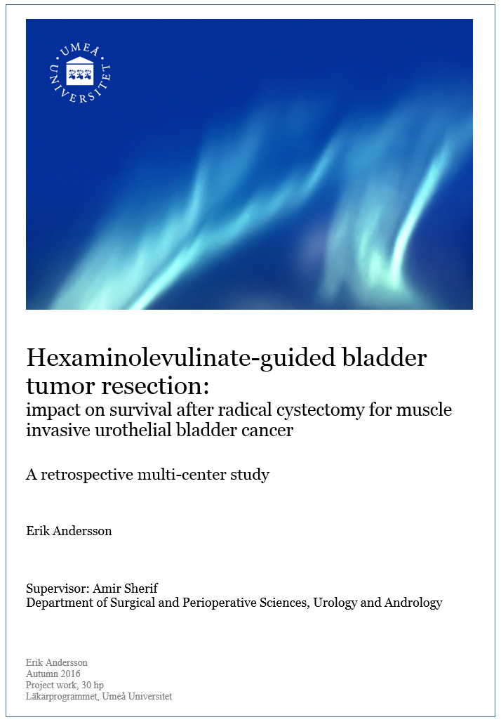 bladder cancer thesis