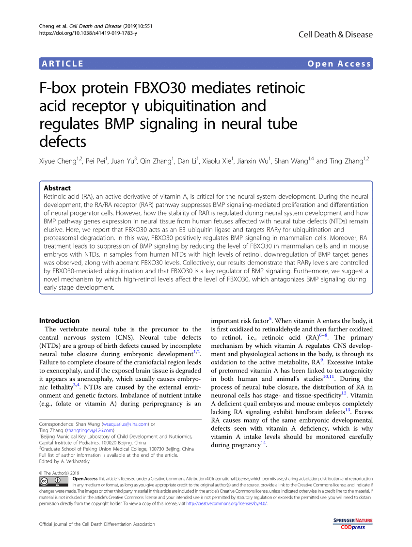 PDF) F-box protein FBXO30 mediates retinoic acid receptor   ...
