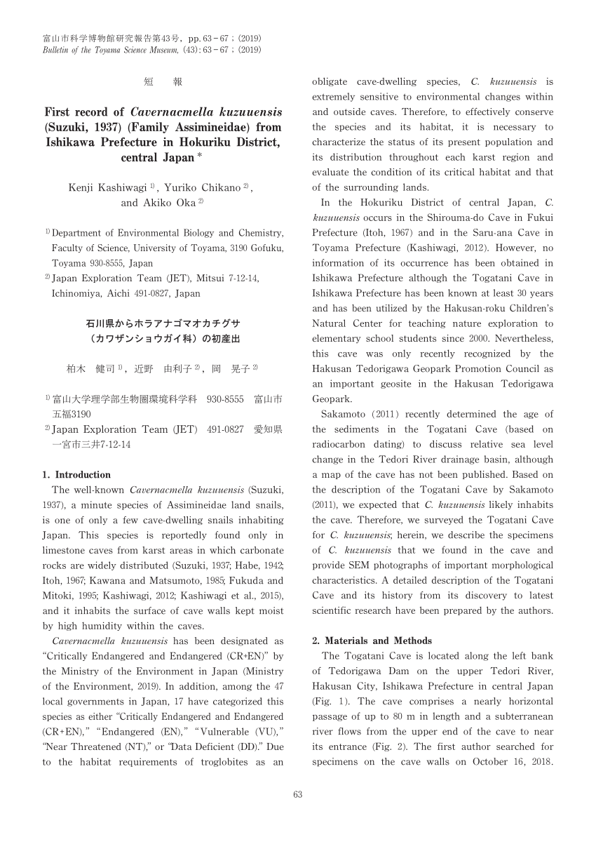 Pdf First Record Of Cavernacmella Kuzuuensis Suzuki 1937 Family Assimineidae From Ishikawa Prefecture In Hokuriku District Central Japan