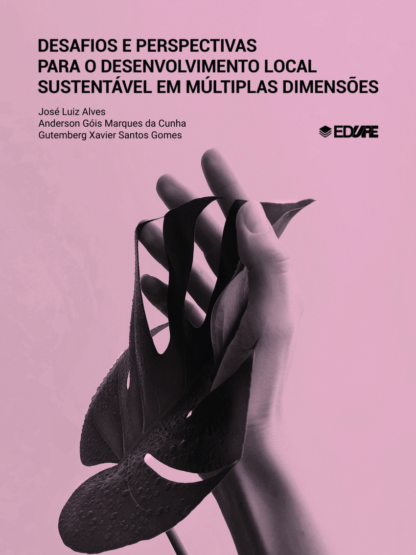 Pdf Desafios E Perspectivas Para O Desenvolvimento Local Sustentável Em Múltiplas Dimensões 9833