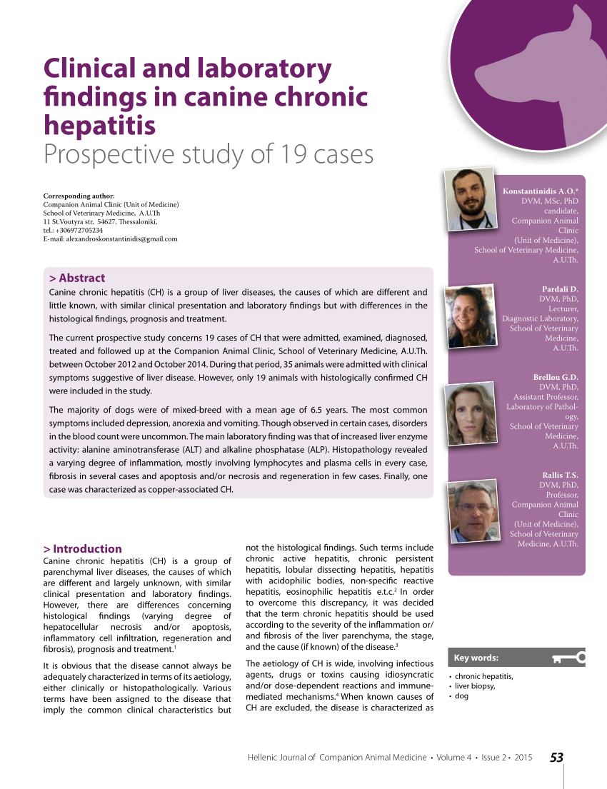 medical case study hepatitis