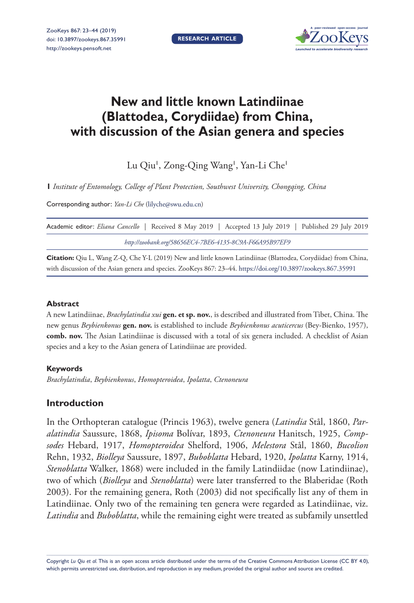 Pdf New And Little Known Latindiinae Blattodea Corydiidae From China With Discussion Of The Asian Genera And Species