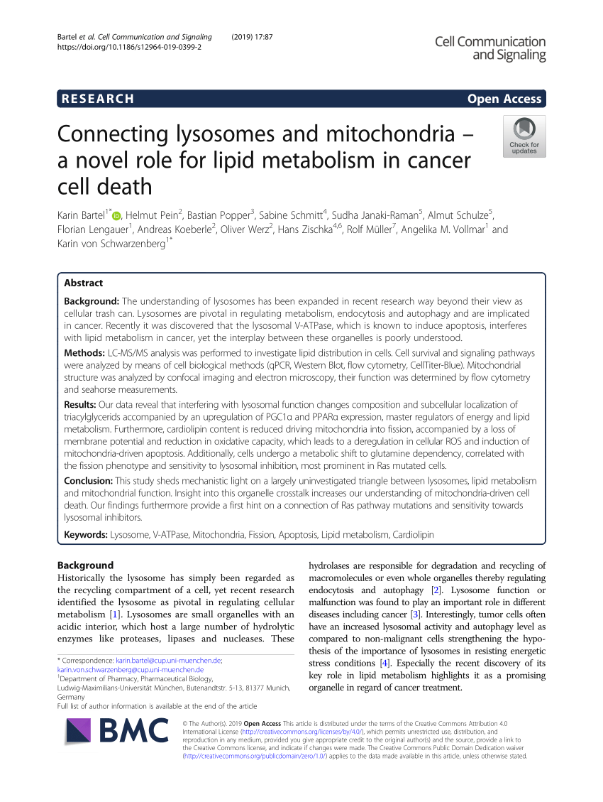 (PDF) Connecting lysosomes and mitochondria – a novel role for ...