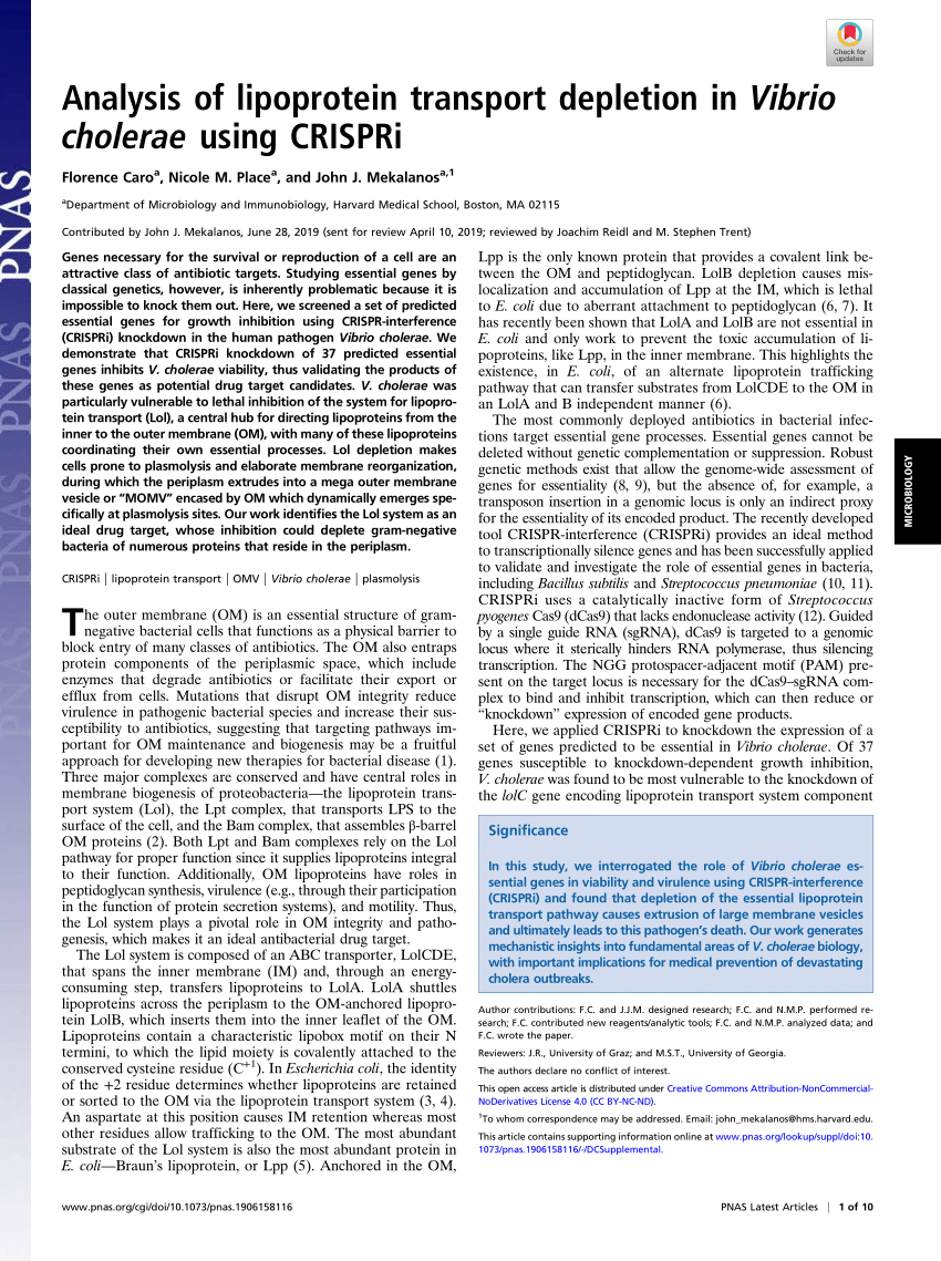 Pdf Analysis Of Lipoprotein Transport Depletion In Vibrio Cholerae Using Crispri