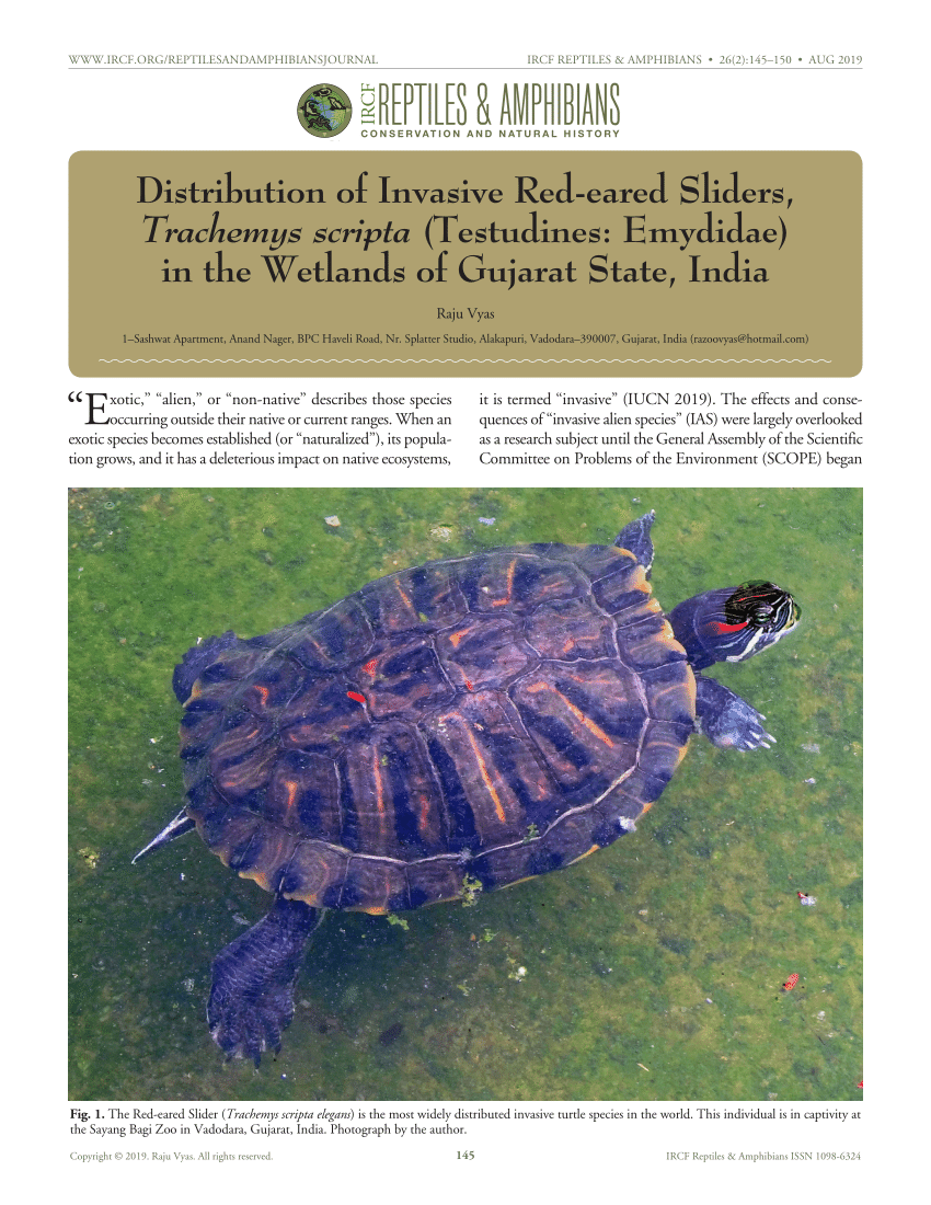 PDF) Distribution of Invasive Red-eared Sliders, Trachemys scripta  (Testudines: Emydidae) in the Wetlands of Gujarat State, India