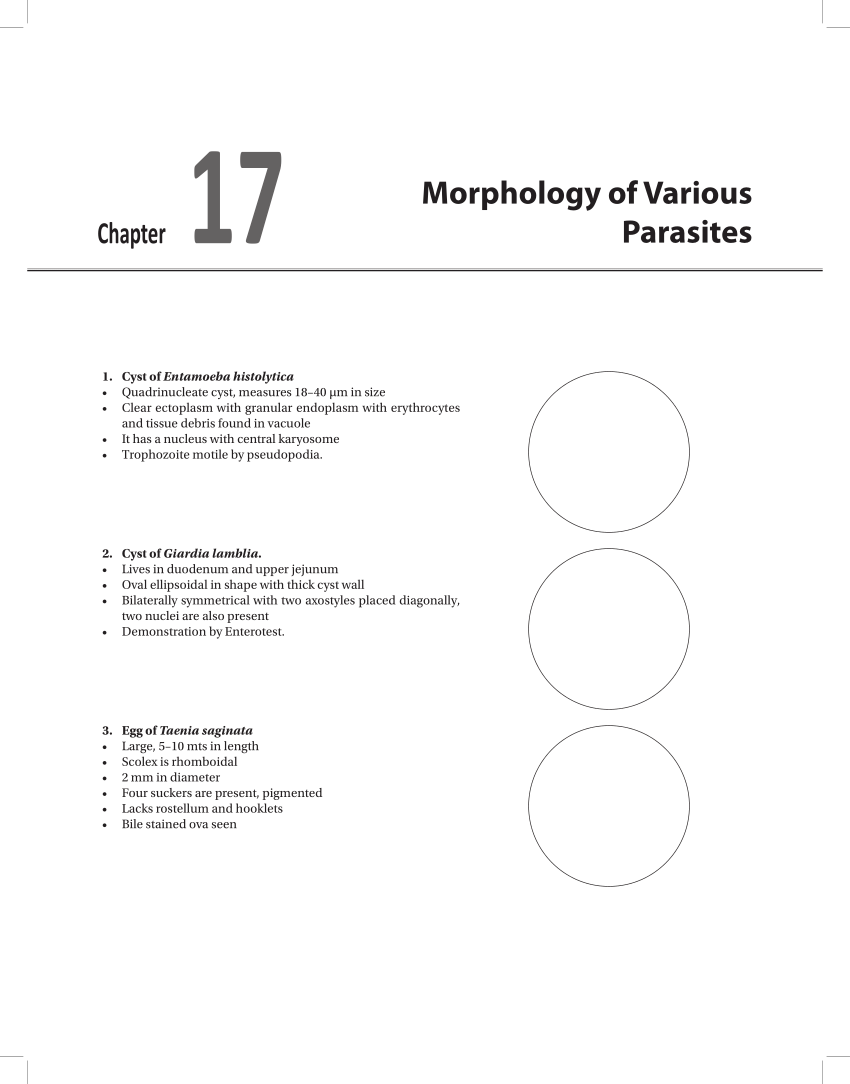 Pdf Morphology Of Various Parasites